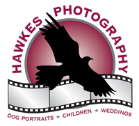 Hawkes Photography, Brenda Hawkes-Ficco